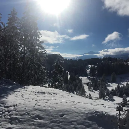 Domek alpejski Chalet Casa Nicola