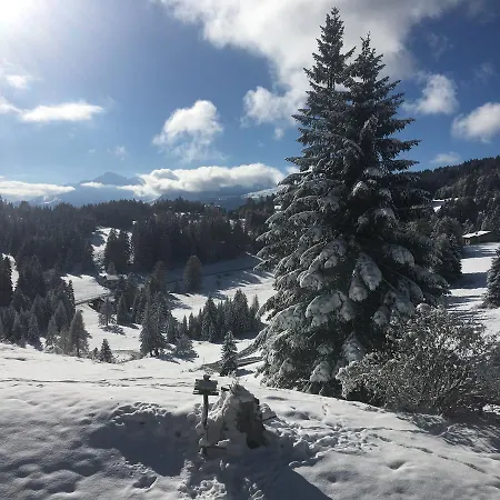 Domek alpejski Chalet Casa Nicola