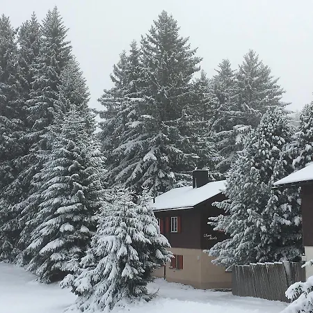 Chalet Casa Nicola Alpehytte *
